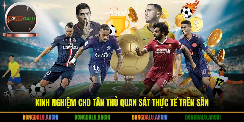 Kinh nghiệm cho tân thủ quan sát thực tế trên sân